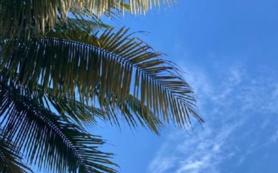 O sol volta neste domingo em Coxim após dias de chuvas intensas 