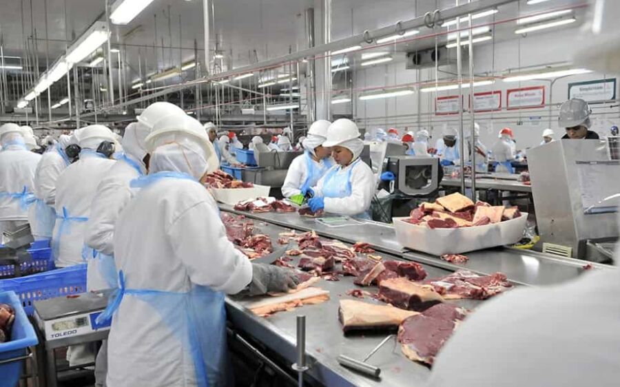São Gabriel do Oeste e Rio Verde se destacam na geração de empregos na indústria em MS