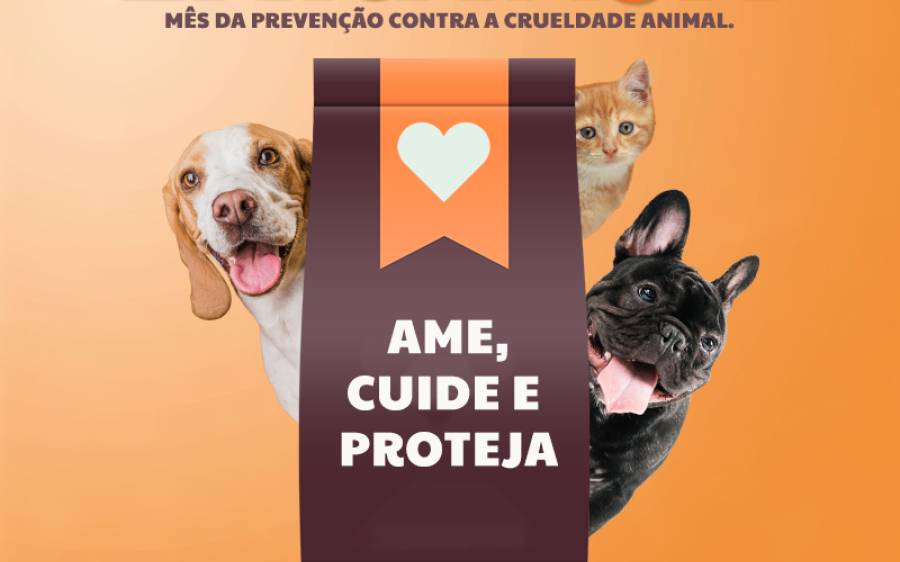 Abril Laranja: Mês de Conscientização e Prevenção da Crueldade contra os Animais