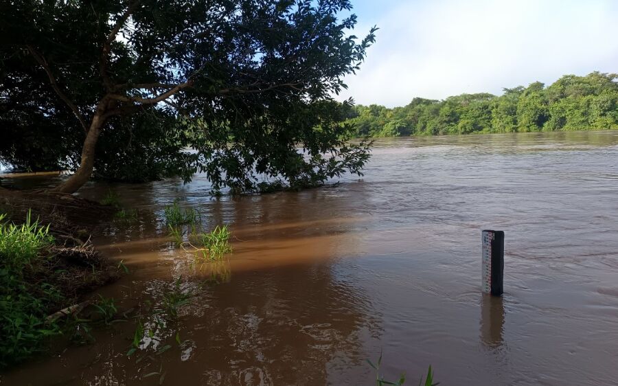 Rio Taquari começa a ser monitorado pela Defesa Civil de Coxim após chuvas intensas