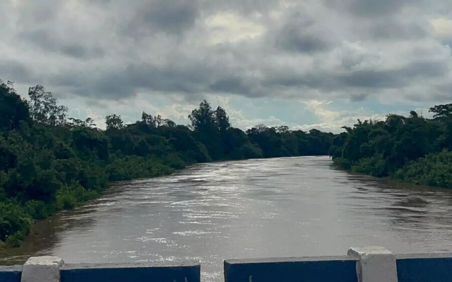 Chuvas reduzem estresse hídrico no Pantanal e colocam Rio Miranda em emergência