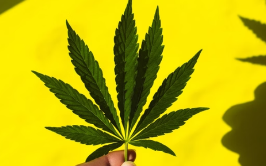 Crianças passam mal após comerem balas com maconha na Holanda
