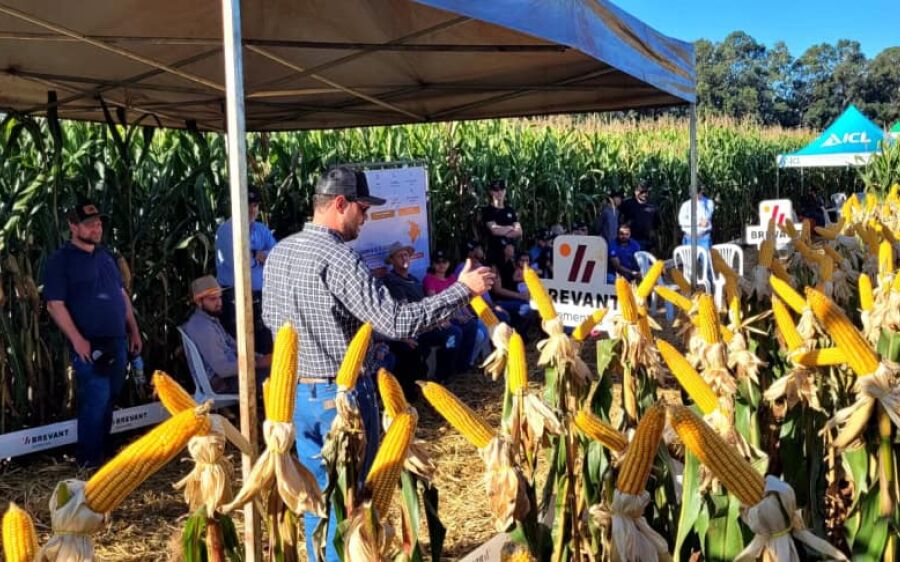 Dia de Campo da Coamo reúne 150 participantes em São Gabriel do Oeste com foco em tecnologias 