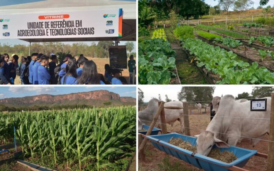 Tudo pronto: 2&ordm; Pantanal Tech MS começa nesta quinta-feira em Aquidauana
