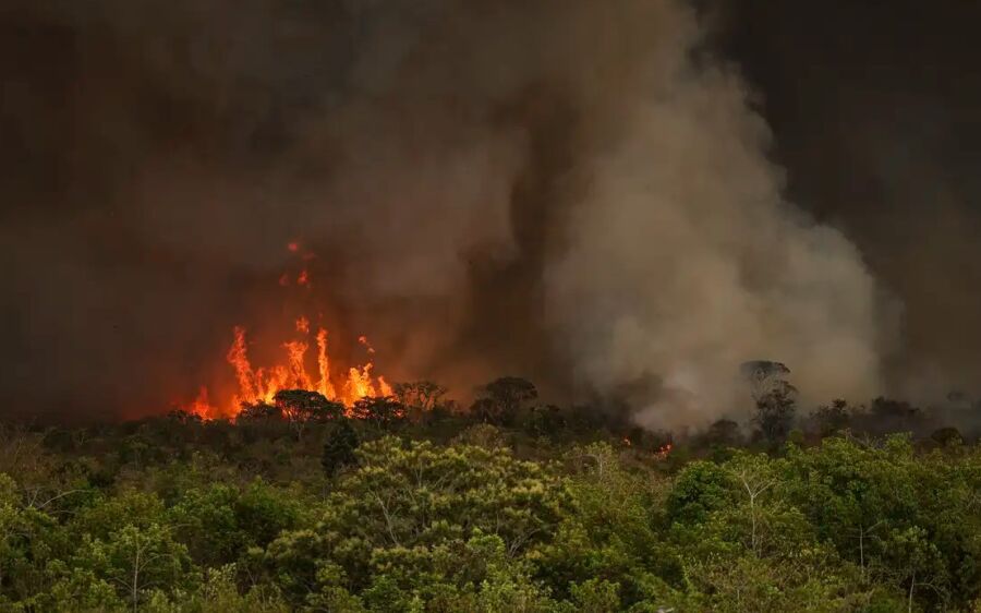 Câmara aprova aumento de punição a quem provocar incêndios florestais