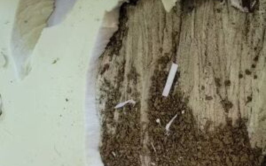 Advogada é presa tentando entrar com colchão recheado de maconha em presídio de MS