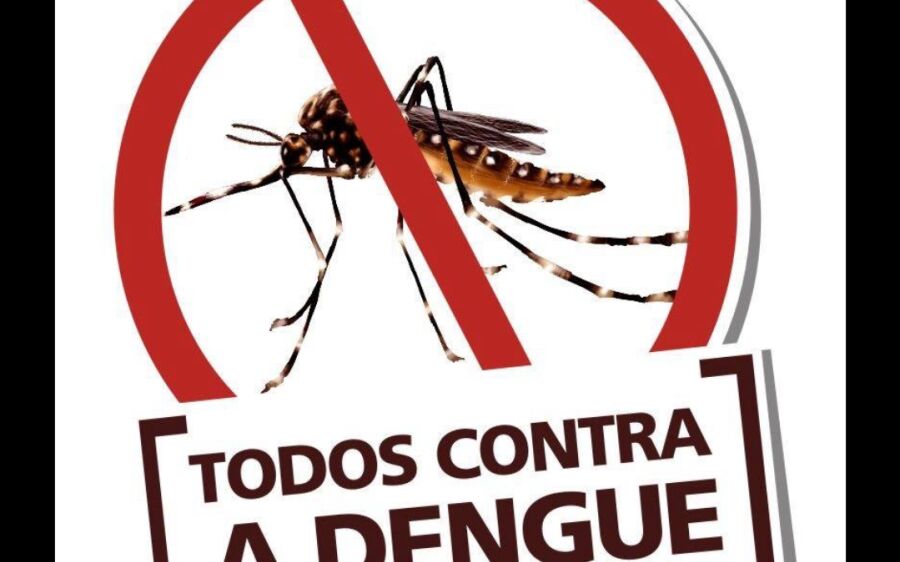 Dengue faz mais três vítimas e total de mortes chega a 15 em MS em 2025
