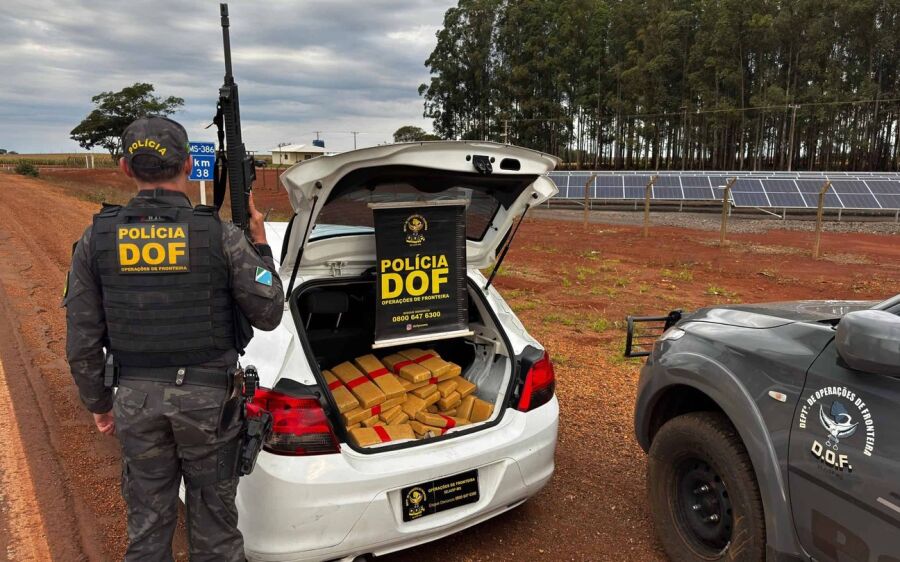 DOF apreende maconha que seria levada a Curitiba; suspeito receberia R$ 10 mil pelo transporte

