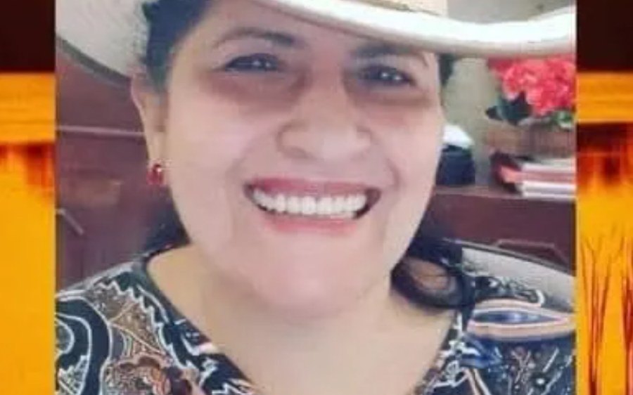 Câmara Municipal reconhece Tânia Mara de Matogrosso como Embaixadora da Cultura Rio-verdense