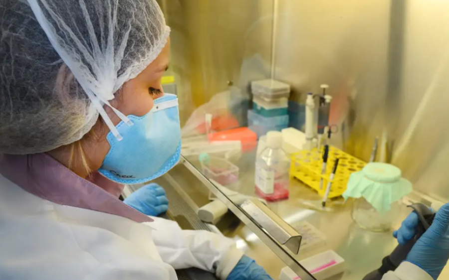 Vacina contra zika desenvolvida pela USP apresenta resultados positivos em testes com camundongos

