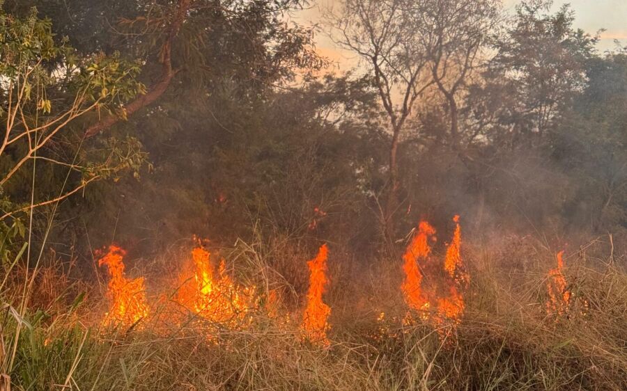  Incêndio assusta moradores do Nova Coxim e mobiliza Corpo de Bombeiros