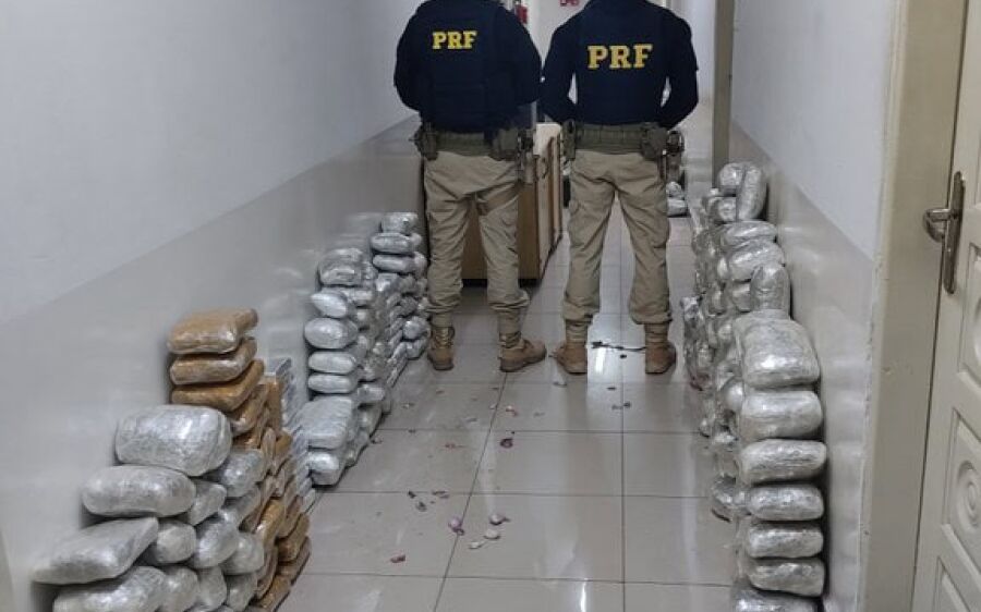 PRF apreende 205 kg de maconha e 20 kg de cocaína em ônibus na BR-262, em Corumbá
