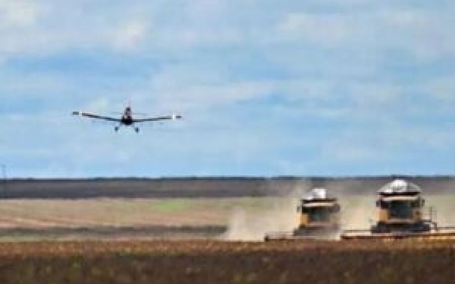 MS tem duas das 10 fazendas mais caras do país com pista de avião e 50 mil cabeças de gado