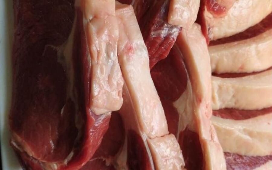 Tarifaço de Trump trava exportações e paralisa frigoríficos de MS: produção de carne bovina 