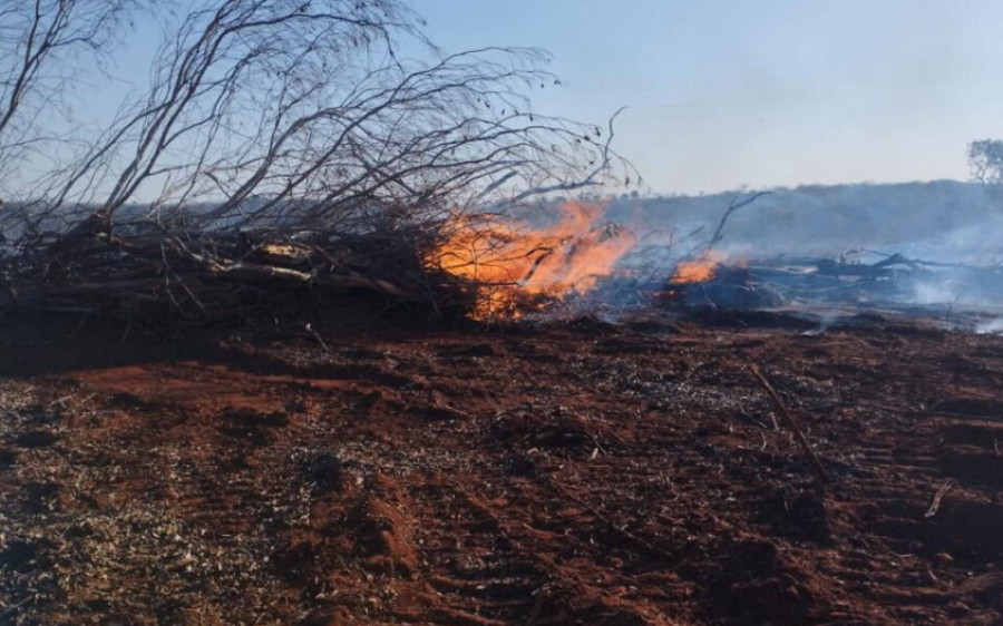 PMA autua proprietário em Sonora por uso de fogo ilegal três dias após início da Operação Focus
