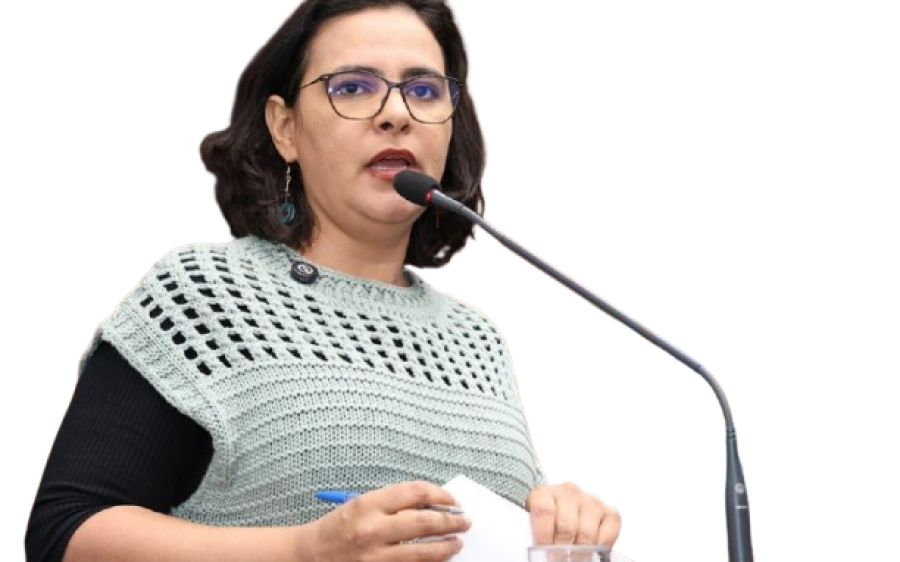 Projeto especifica cotas raciais em concursos públicos de MS