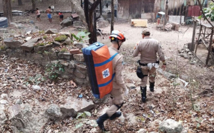Homem fica ferido e perde cachorro em novo ataque de onça no Pantanal de MS