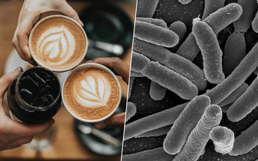 Café é descoberto como um grande aliado da nossa microbiota
