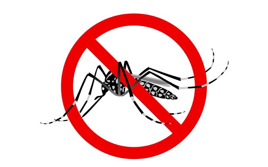 Mortes por dengue em Coxim acendem sinal vermelho: MS já soma 33 vítimas em 2025 