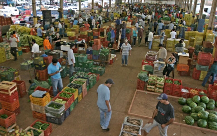 Ceasa-MS recebe frutas e hortaliças de vários estados e do exterior; banana lidera vendas em 2025
