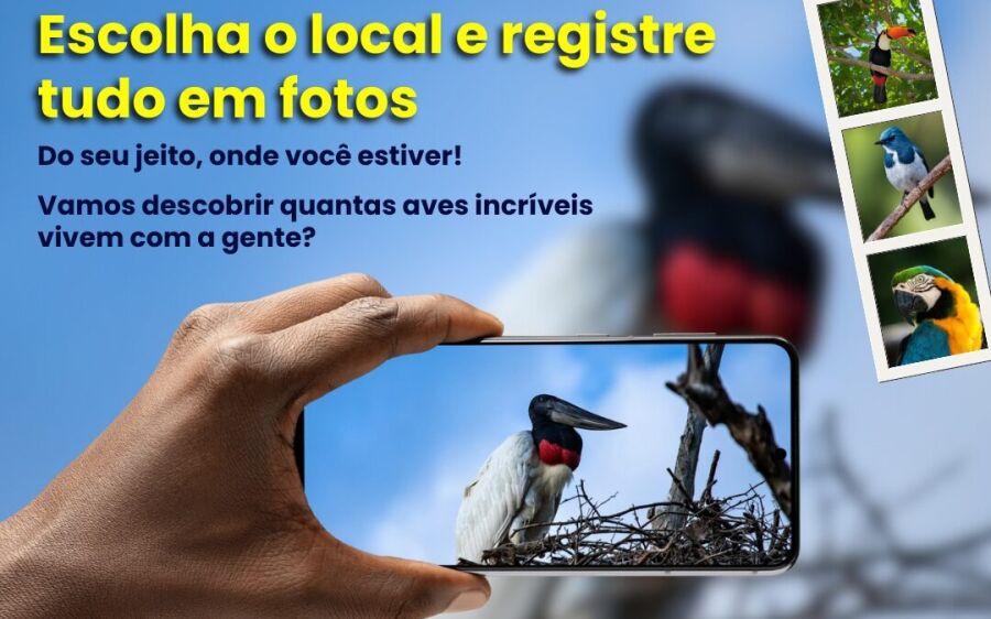 Big Day Coxim 2025: iniciativa incentiva moradores a fotografar aves e valorizar a natureza