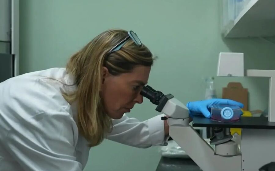 Medicamento experimental brasileiro
devolve mobilidade a pessoas tetraplégicas