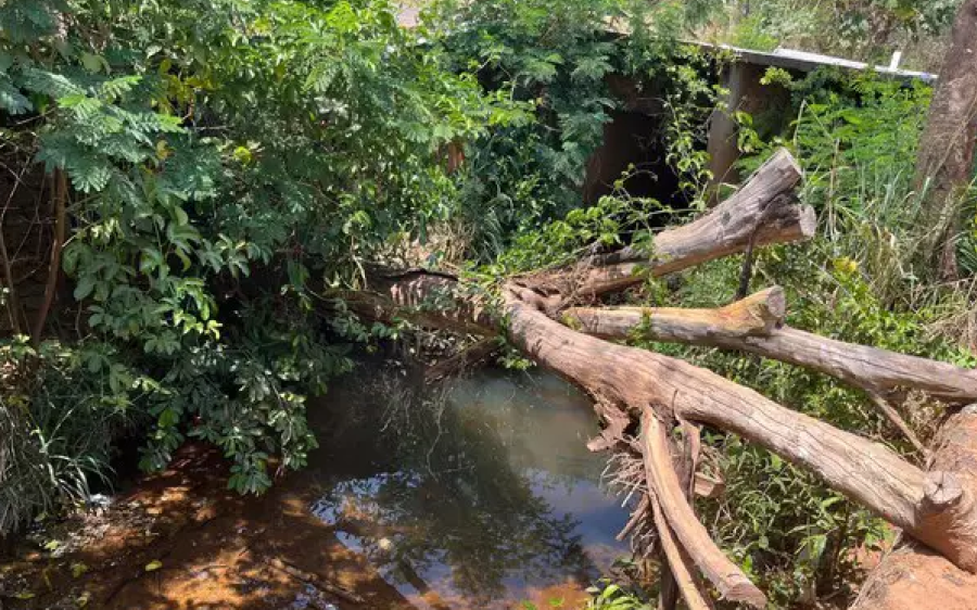 Produtor de mandioca morre afogado ao tentar coletar água em córrego de Rio Verde de Mato Grosso
