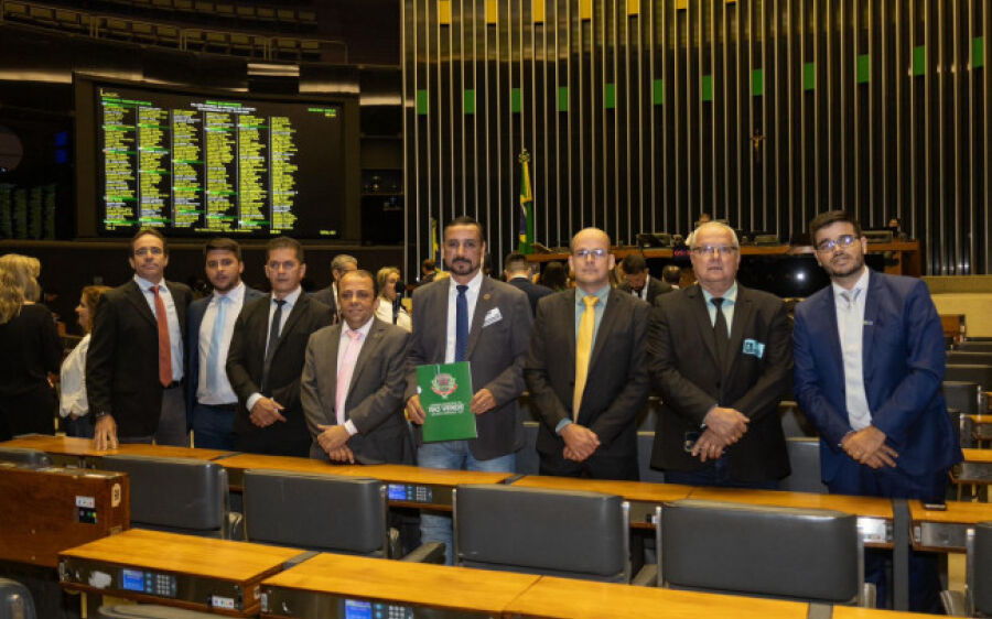 Vereadores de Rio Verde buscam recursos em Brasília
