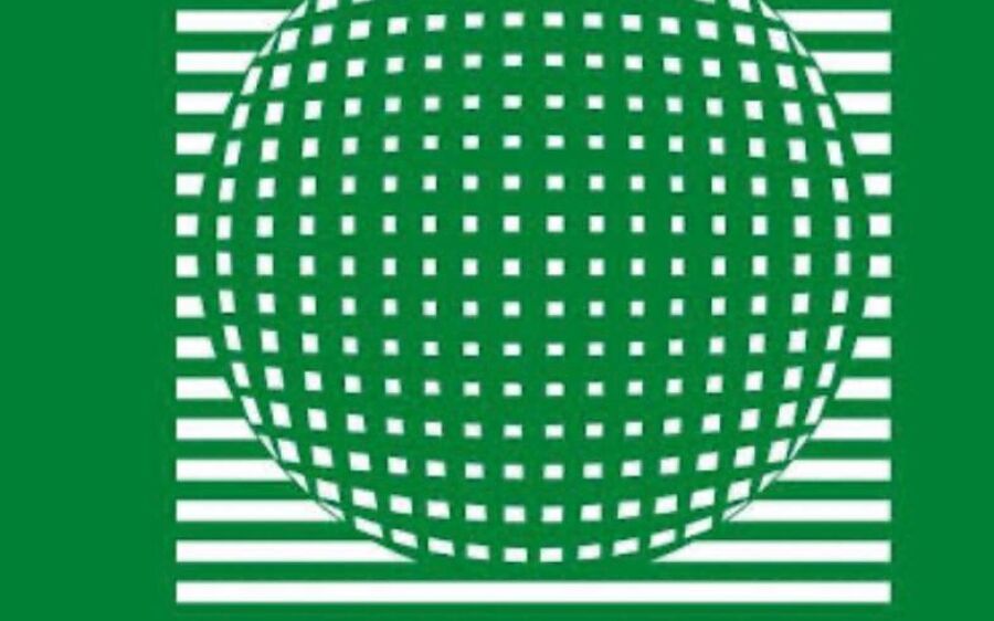 Detran-MS revoluciona atendimento com novo aplicativo para motoristas e donos de veículos