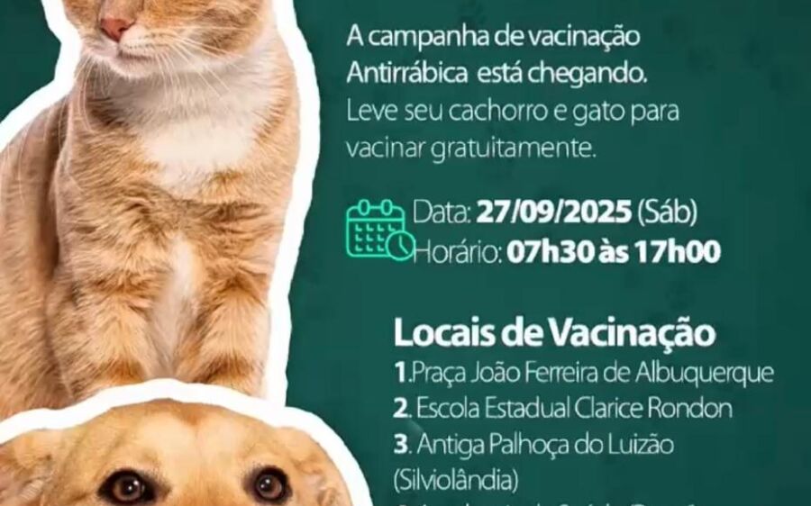 Campanha Antirrábica 2025: Vacinação Gratuita de Cães e Gatos Acontece hoje, Sábado (27)