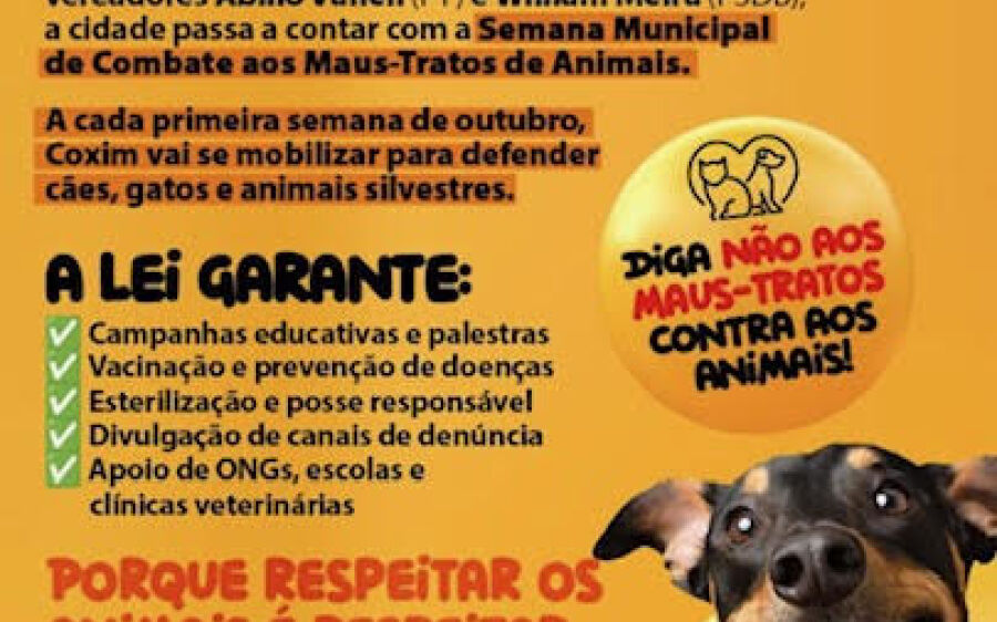 Eles Sentem Como Nós a Dor Silenciosa dos Animais Maltratados