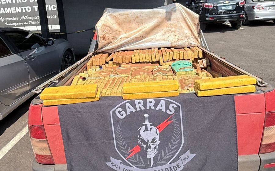 Polícia Civil apreende 830 kg de maconha e prende suspeito durante operação em Campo Grande
