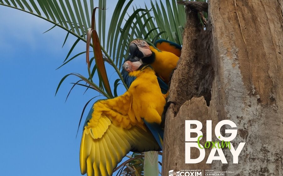 Coxim celebra o sucesso do Big Day com entusiasmo e riqueza de registros