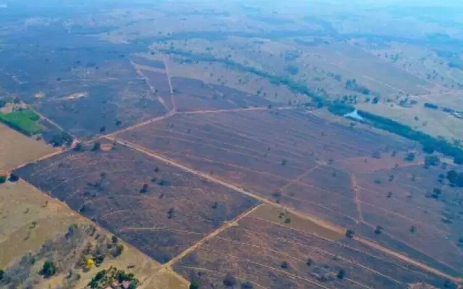 Empresa é multada em R$ 3,9 milhões por incêndio que devastou 2 mil hectares em Coxim