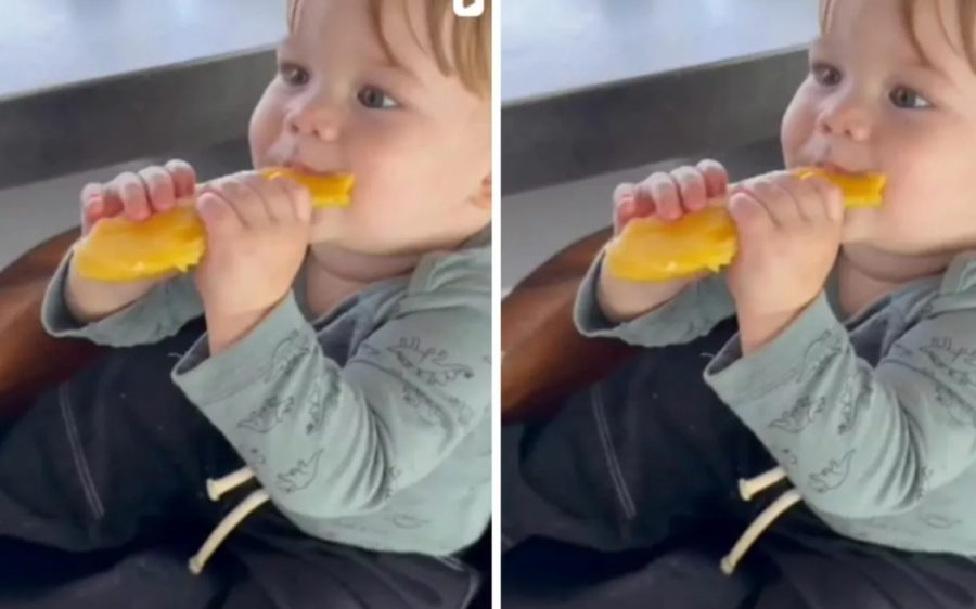 José Leonardo rouba a cena ao comer fruta
