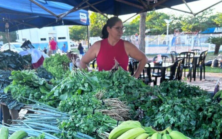 Feira Regional de Economia Criativa movimenta Coxim com arte, cultura e empreendedorismo 