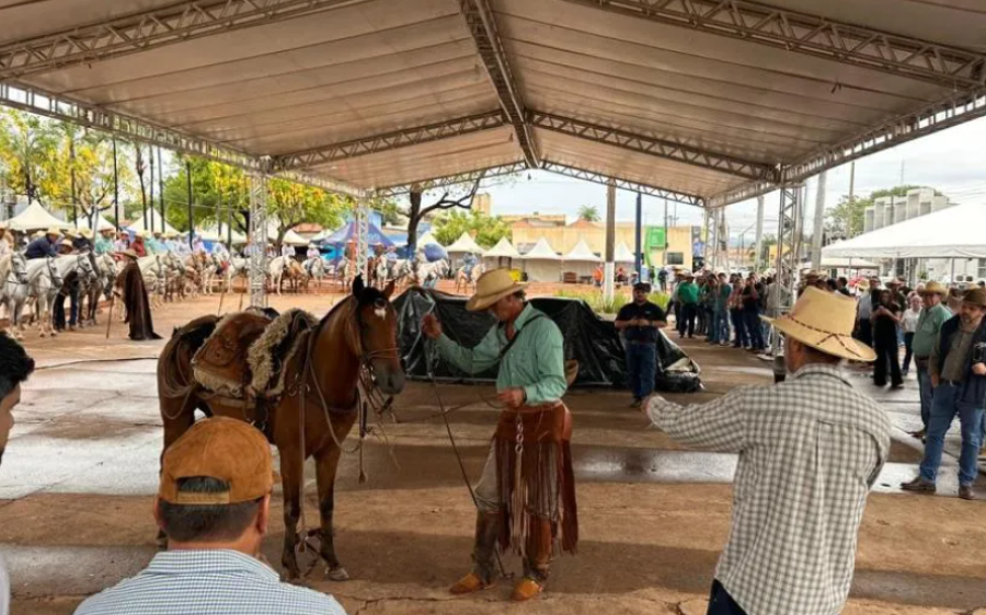 Cavalo Pantaneiro é destaque em apresentação especial no 4&ordm; Festival da Cultura Pantaneira 