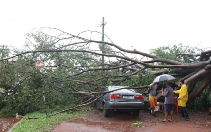 Ventos de 89 km/h causam estragos em Campo Grande e chuva segue para região norte