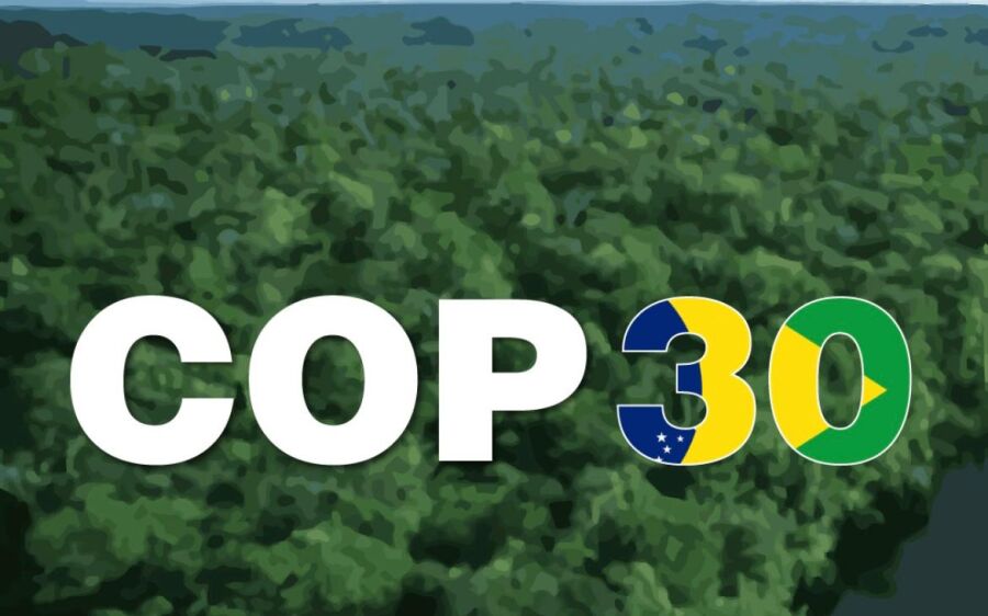 Riedel apresenta avanços de Mato Grosso do Sul em sustentabilidade e inclusão na COP30