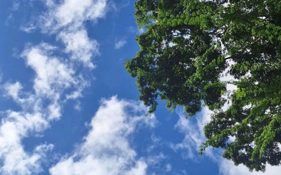 Coxim terá feriado de Consciência Negra com sol forte e calor intenso nesta quinta (20)