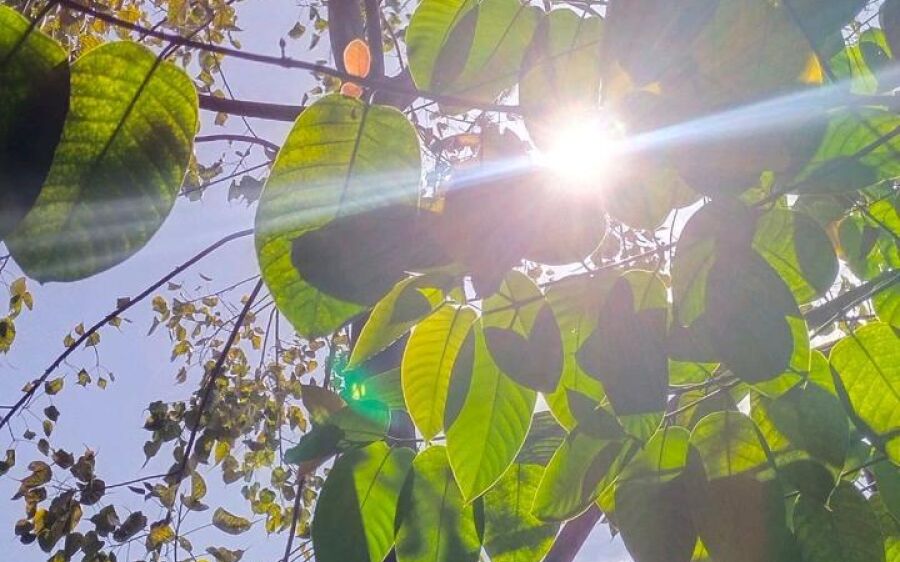Tempo aberto e calor marcam a terça-feira em Coxim