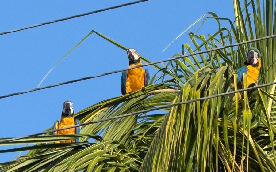 Coxim amanhece com sol forte e domingo de calor intenso neste 23 de novembro