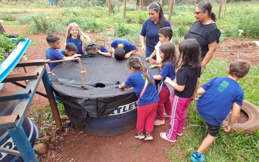 Projeto em escola rural busca manter jovens no campo com tecnologias sociais e geração de renda

