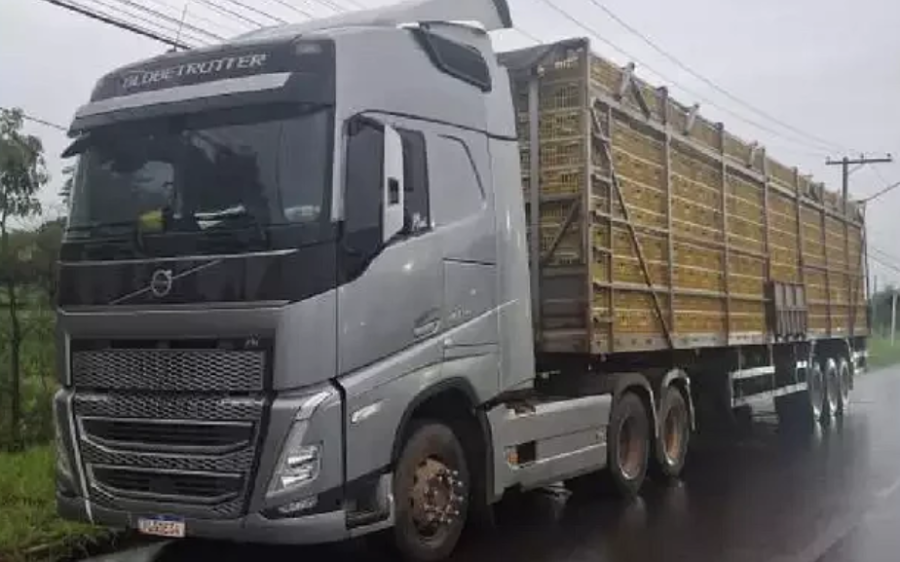 Grupo é preso em flagrante por furto de frangos vivos de caminhão em posto desativado
