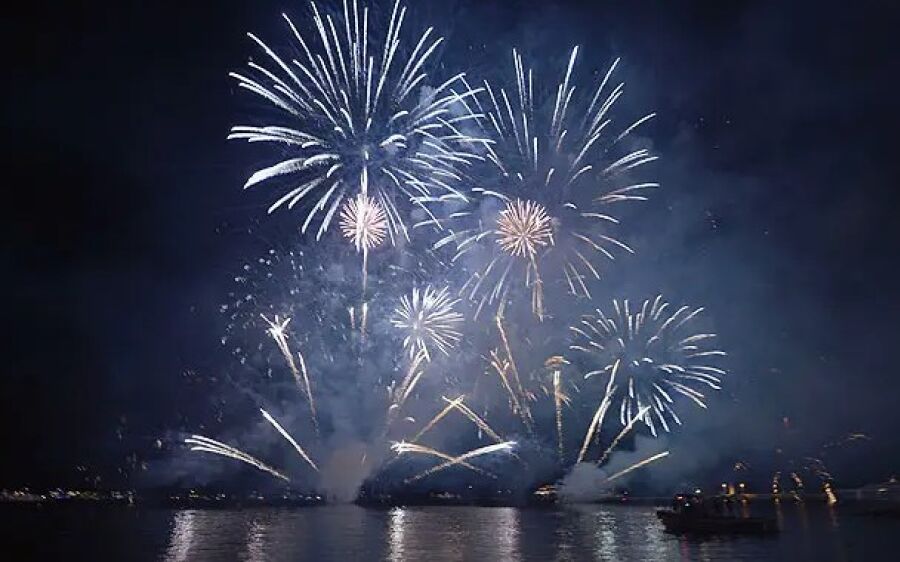 Virada do ano em Coxim reacende alerta sobre sofrimento dos pets com fogos de artifício 
