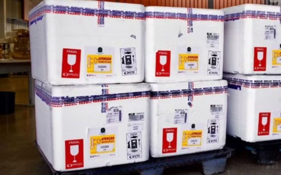 MS recebe 10 mil doses de vacina contra vírus respiratório; veja quem pode se imunizar