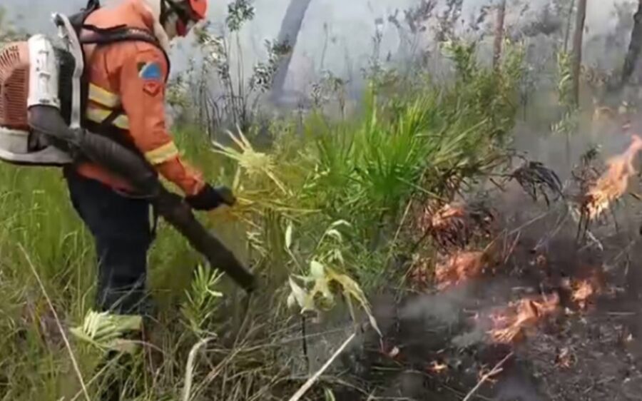 Bombeiros combatem incêndio florestal em divisa de fazendas no Pantanal
