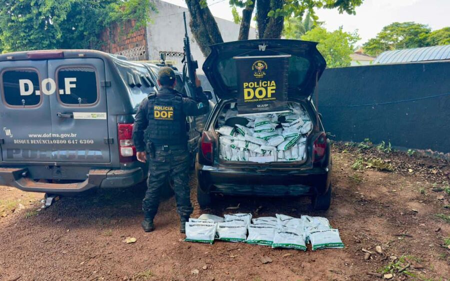 DOF apreende veículo com cerca de 700 quilos de agrotóxicos contrabandeados em assentamento
