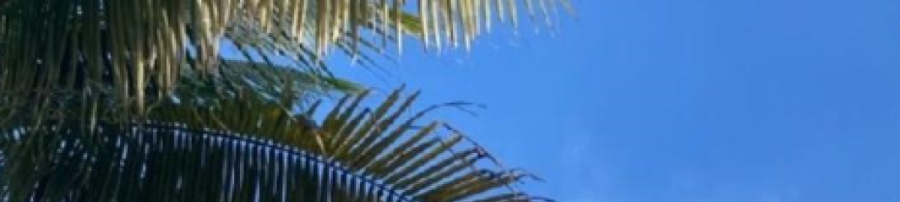 Quarta-feira será de calor intenso e chance de pancadas isoladas em Coxim