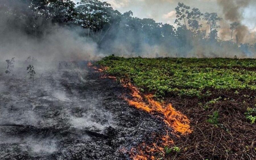 Estiagem severa e queimadas acendem alerta máximo em Mato Grosso do Sul